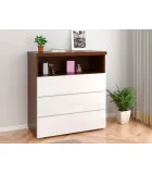 Chest of drawers Regina 3SH 1P order